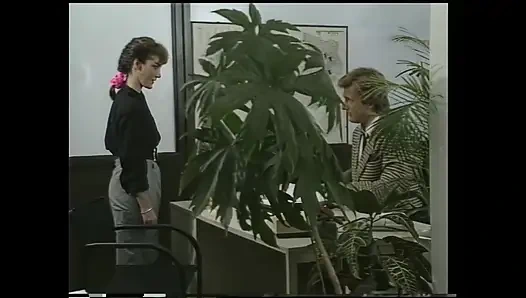 Yaşlı ahlaksız hikayeleri xxx - cilt #04