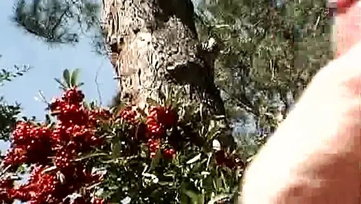 Uma boneca loira bonita fodida ao ar livre até um facial