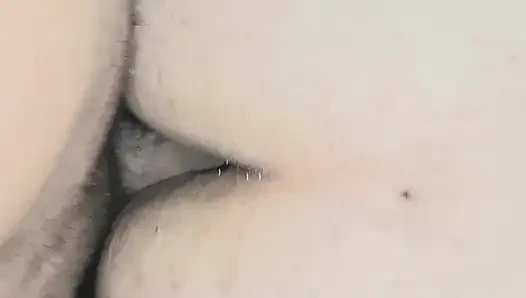 Domaltarak