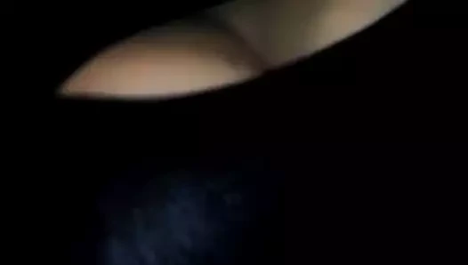 şeker kamışı şerit