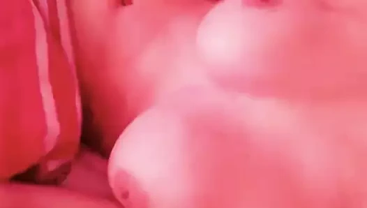 Pembe memeler ve kedi üzerinde web kamerası