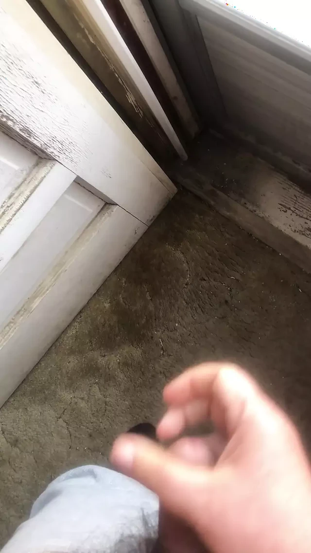 Büyük cum atış at the ön kapı