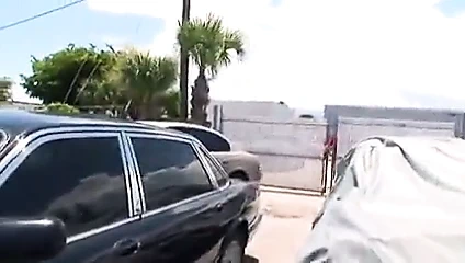 Muhteşem siyah kadınlar kahrolası beyaz erkekler 15