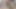 Kremsi tıraşlı amcıklı seksi zenci üniversiteli kız