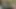 Striptiz noname kazananı kaybedene her şeyi yapabilir