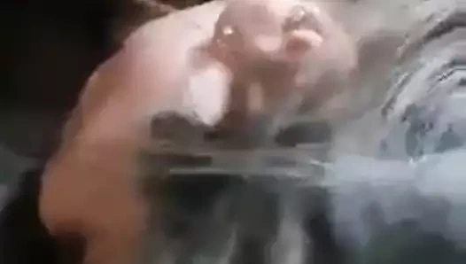 Saali ko lund chusaya phir jabardast chudai ki