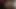 Haydee