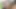 Sarışın orta yaşlı seksi kadın büyük zenci yarağıyla vajinal ve anal seks yapıyor