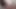 Ateşli Asyalı kızlar bali tavşanı tutkulu eğlence için dildoyla oynarken çıldırıyor