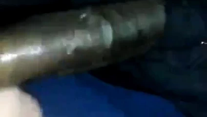 Sertifikalı siyah horoz yiyici