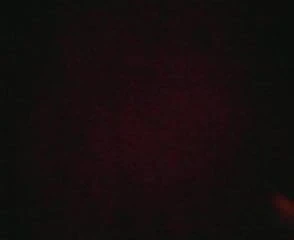 Siktir et munny manglore