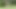 KENDRA LUST CAMPIONESSA ANCHE NEL GOLF