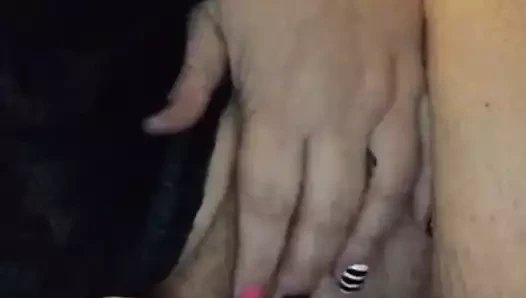 Kedi göstermek için şişman gutt tutan