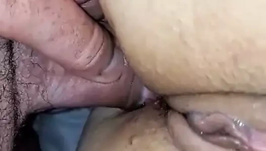 Tatlı traş kedi ve anüs