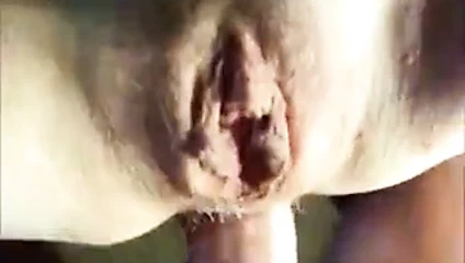 ben ve karısı hızlı anal