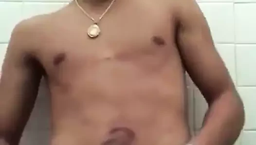 Tay oğlan büyük horoz