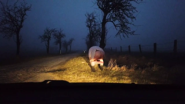 halka açık işemek