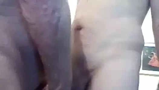 Büyükbaba çift üzerinde web kamerası