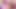 Vanessa Vega ve Asyalı Lana Violet götüne sokuyor