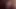 Baştan çıkarıcı Hint güzellik şeritler aşağı ve parmaklar ona kedi