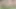 Private.com - belle claire ve dellai ikizleriyle ateşli seks partisi!