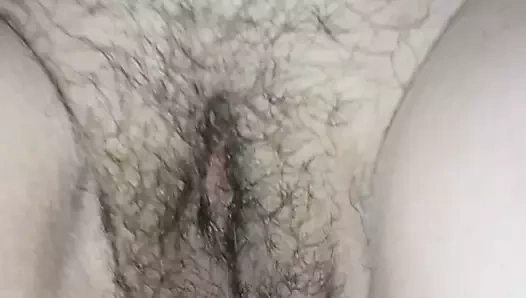 Danimarkalı eş kedi 1