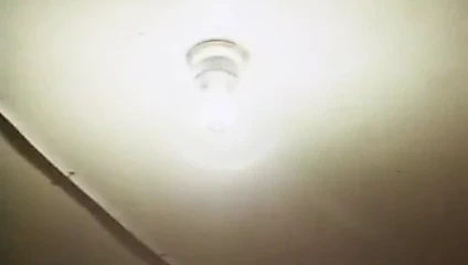 Playboy playmate dorothy stratten çırpılmış