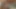 Busty zambak cade ve tille vardır kedi aç lezbiyenler