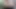 Eşcinsel porno yıldızı tek başına boşalıyor