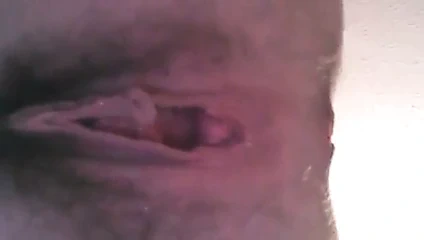 şaşkın geniş açık KEDİ