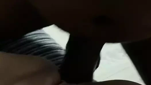 Londra bbc kahrolası beyaz kedi