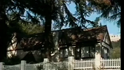 Yaramaz ama(t) güzel (1993, biz, videoda çekilmiş, savannah, dvd)