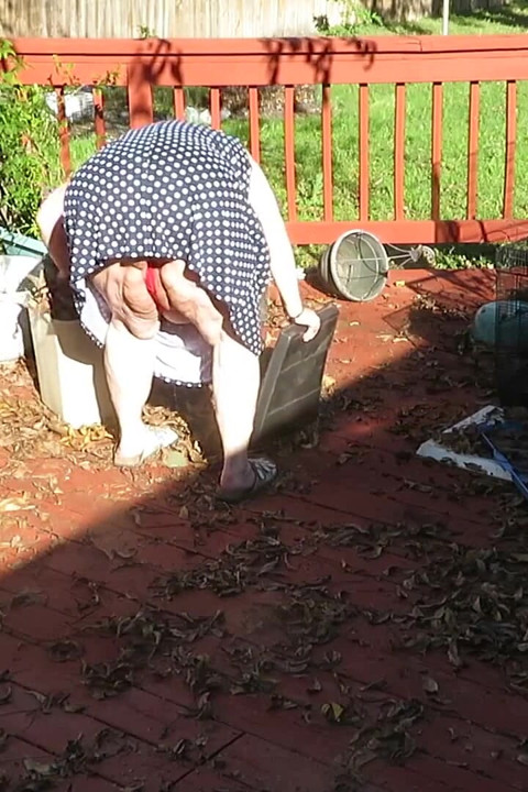 Bahçemde göğüslerimin göbek götünü, bacaklarımı ve şişman amcığımı gösteriyorum yapraklarımı temizlerken sana teşhir ediyor! Kırmızı dantelli tanga!