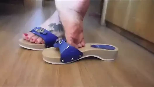 Rainha dourada - otelde yeni tahta katırlarla