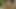 Junge Brünette masturbiert mit lila Dildo im Freien