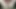 Sari uchali uchali dina kati maja aauxa