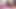 Curvy Latina Brunette in Dress Dildo Sucking Gagging Live - MiaCollinssx