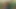Teknik destek için oral seks armağanı