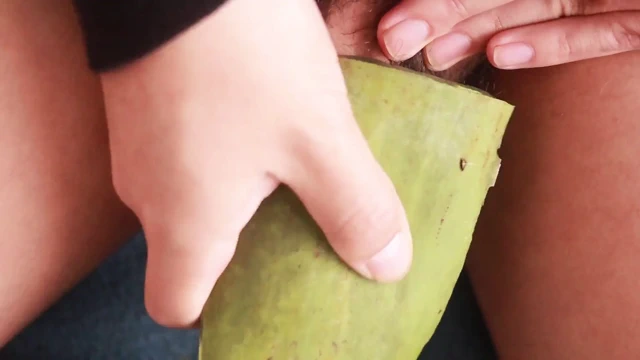 Aloe Vera ile Tam Saman Seansı