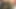 Üniformalı travesti sert yarağı zevkle alıyor