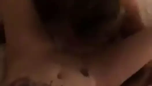 Kedi tadı mükemmel