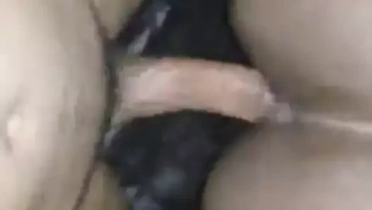 Genç şişman oğlan kedi Başlarken becerdin