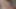 Çılgın horozlar!!!