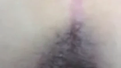 köpek stili