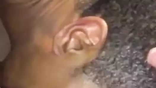 emme dick &amp; yeme göt