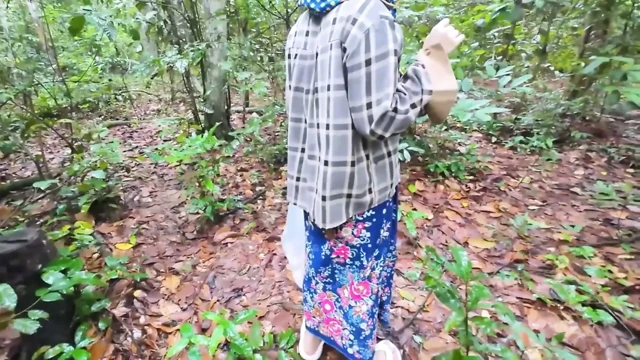 Thai Teenagers get Lost in the Forest and get Horny, so they have Sex.