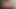 Büyük iri güzel genç kız 18+ götümün üstüne çıkıyor