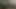 üvey anneler odasında abanoz civciv smashing