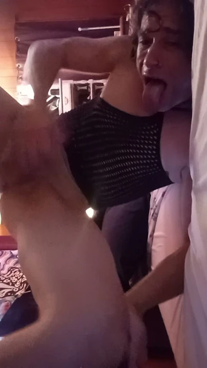Travesti arexa bragdoll yüze boşalma ve yutma kadar okşuyor