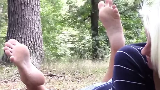 Sarışın gösteren ayak doğada